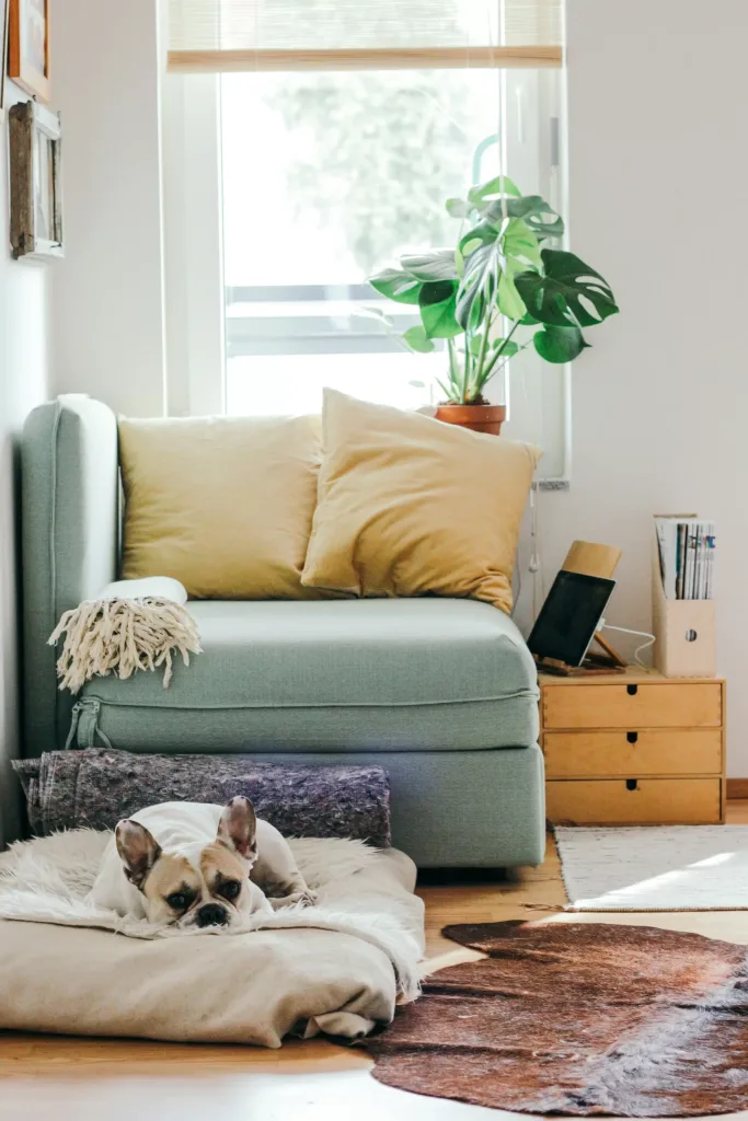 The way of Feng Shui