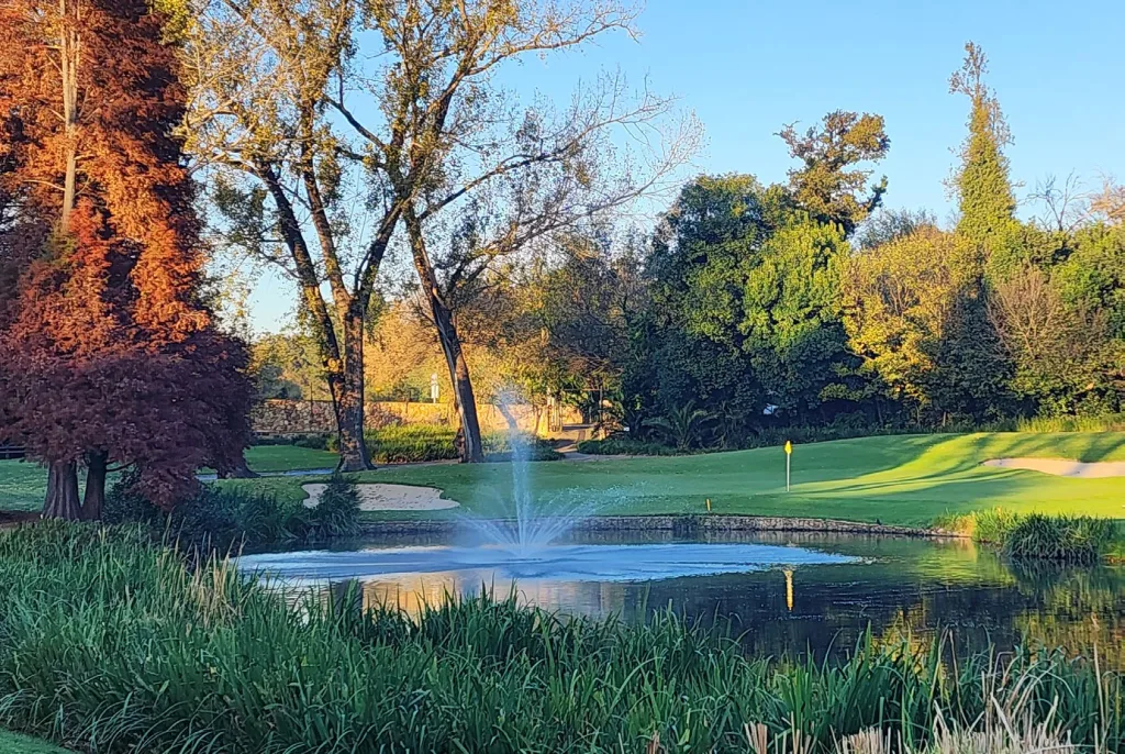 Challenging Play in Beautiful Surrounds